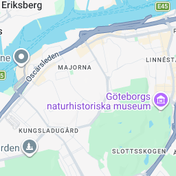 GothenBurg BJJ Open 11